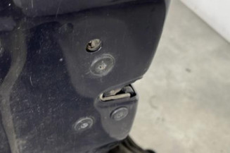 Porte avant gauche RENAULT SCENIC 2