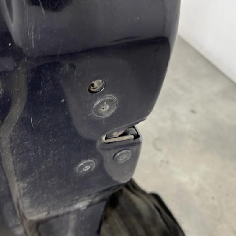 Porte avant gauche RENAULT SCENIC 2 Photo n°3