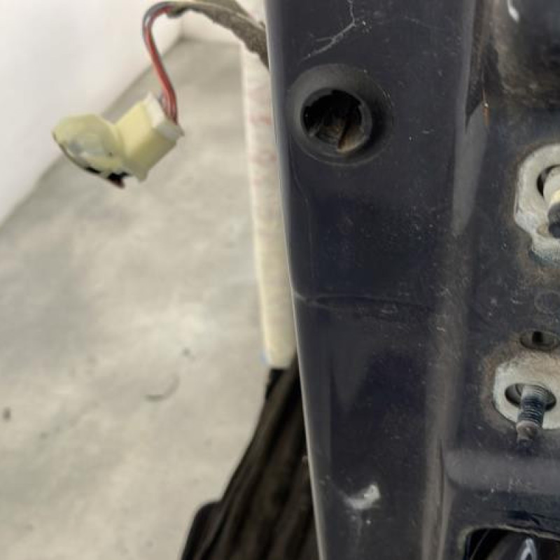 Porte avant gauche RENAULT SCENIC 2 Photo n°4