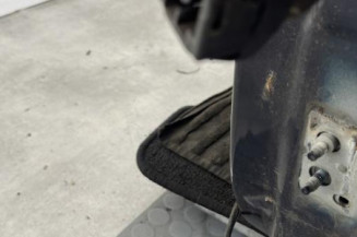 Porte avant gauche RENAULT SCENIC 2