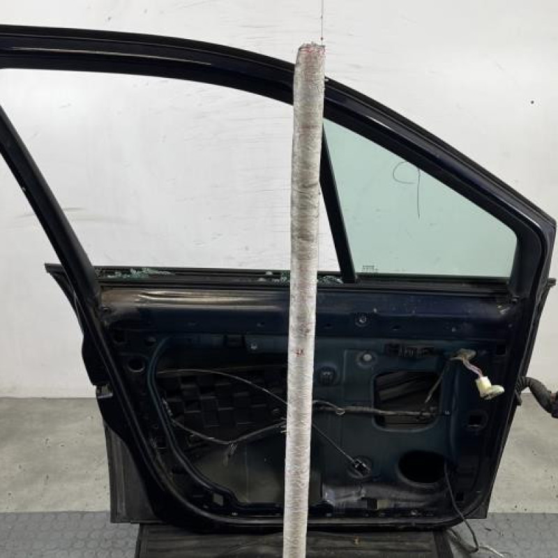 Porte avant gauche RENAULT SCENIC 2 Photo n°6