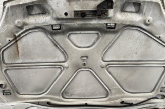 Capot RENAULT CLIO 2 CAMPUS