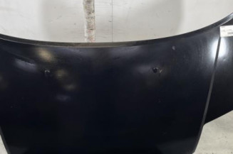 Capot CITROEN C2 Photo n°1