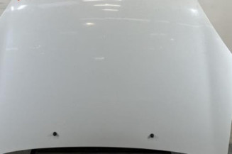 Capot RENAULT CLIO 2 Photo n°1