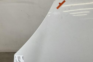 Capot RENAULT CLIO 2