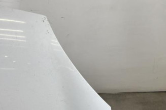 Capot RENAULT CLIO 2