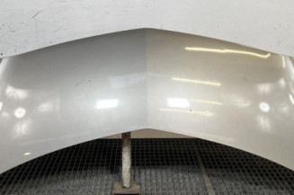 Capot RENAULT GRAND MODUS Photo n°1