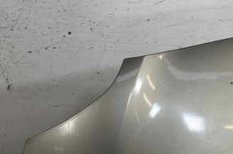 Capot RENAULT GRAND MODUS
