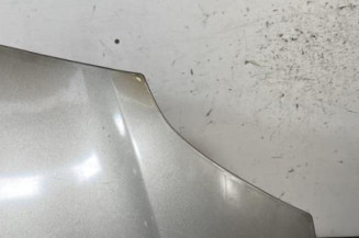 Capot RENAULT GRAND MODUS
