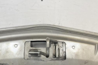 Capot RENAULT GRAND MODUS