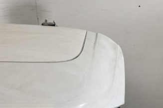 Malle/Hayon arriere FORD FOCUS 3