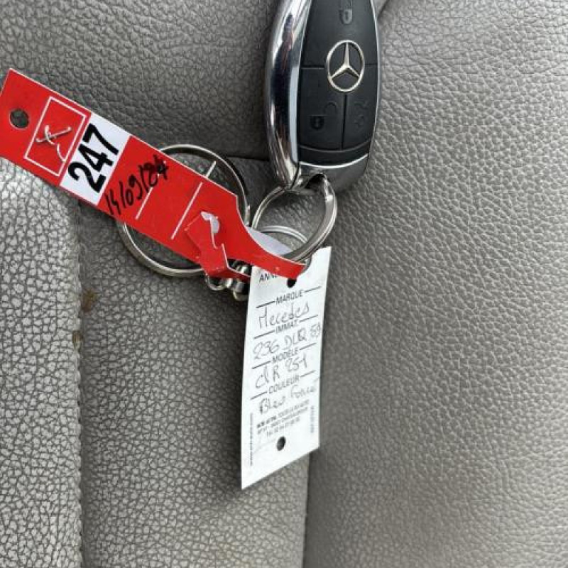 Custode arriere droit MERCEDES CLASSE R 251 Photo n°16