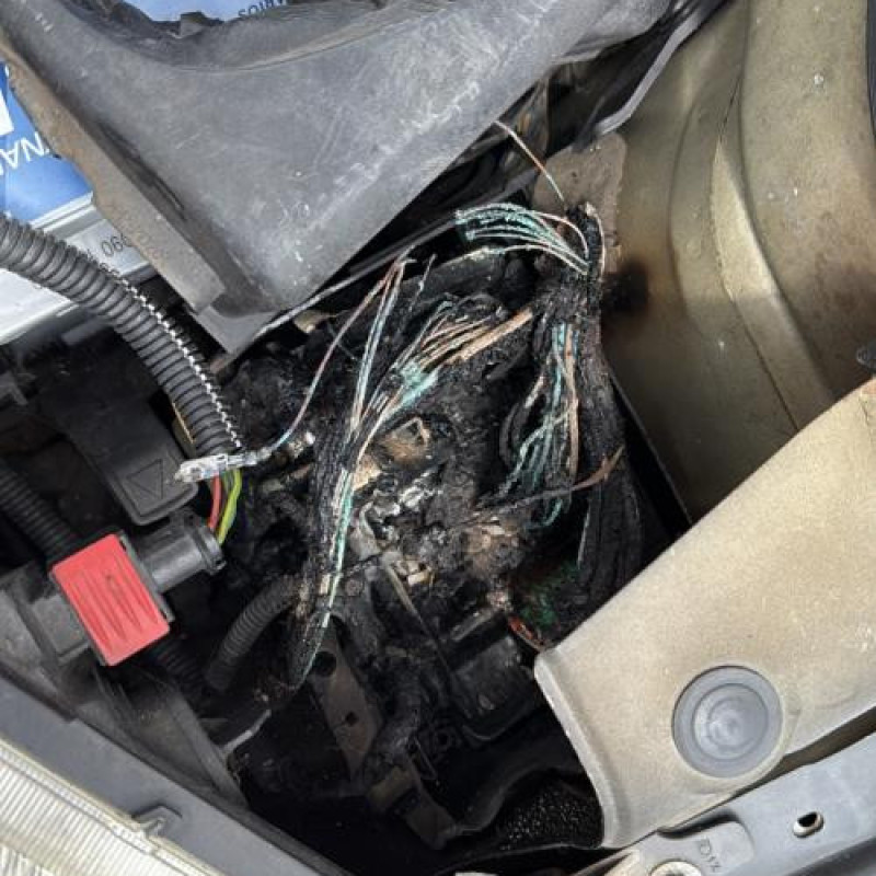 Custode arriere droit CITROEN C2 Photo n°13