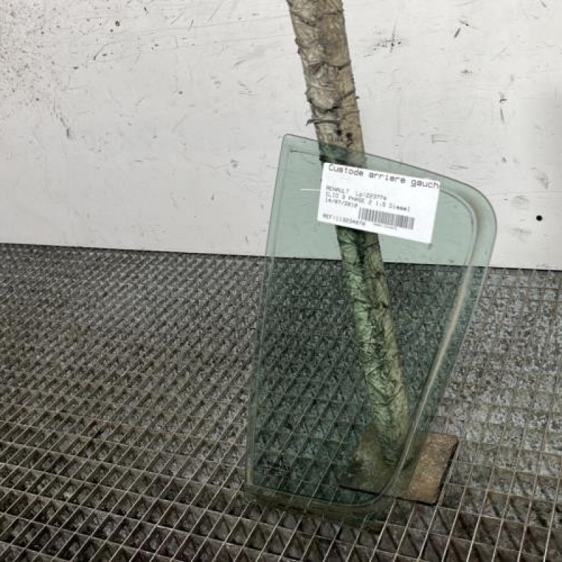 Custode arriere gauche (porte) RENAULT CLIO 3 Photo n°2