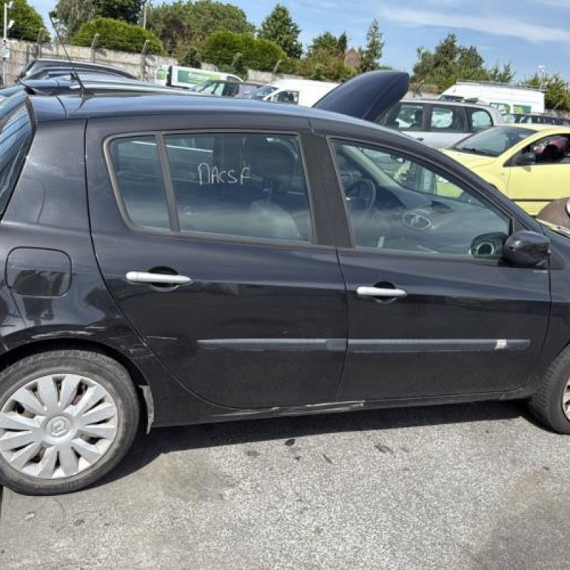 Custode arriere gauche (porte) RENAULT CLIO 3 Photo n°11