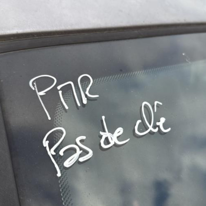 Custode arriere gauche (porte) RENAULT CLIO 3 Photo n°13