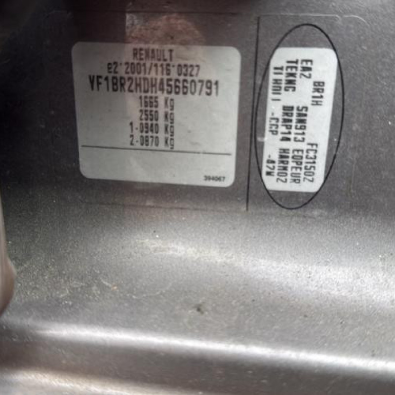 Custode arriere gauche (porte) RENAULT CLIO 3 Photo n°19