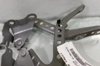 Charniere de capot CITROEN C1 2 Photo n°1