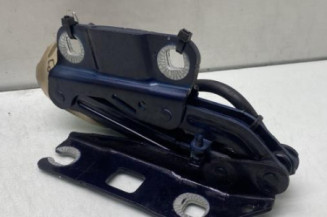 Charniere de capot MERCEDES CLASSE R 251