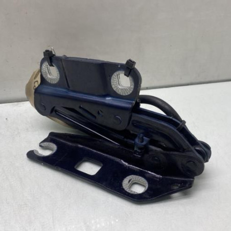 Charniere de capot MERCEDES CLASSE R 251