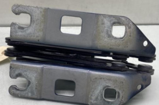 Charniere de capot MERCEDES CLASSE R 251