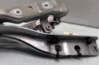 Charniere de capot CITROEN DS5 Photo n°1