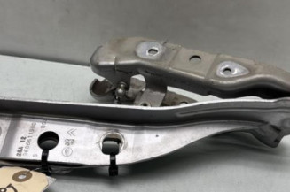 Charniere de capot CITROEN DS5