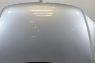 Capot VOLKSWAGEN FOX Photo n°1