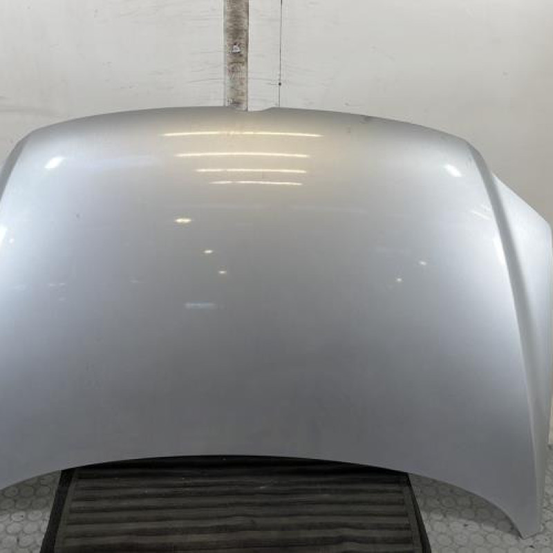 Capot VOLKSWAGEN FOX Photo n°1