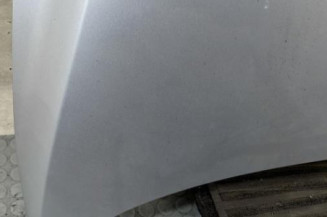 Capot VOLKSWAGEN FOX