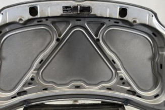 Capot VOLKSWAGEN FOX