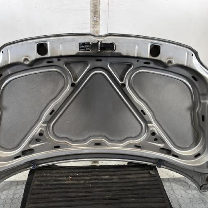 Capot VOLKSWAGEN FOX Photo n°9