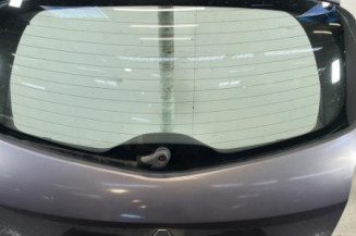Malle/Hayon arriere RENAULT CLIO 3 Photo n°1