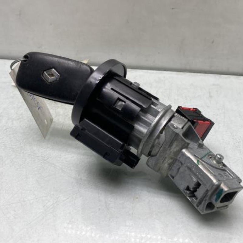 Neiman RENAULT CLIO 3 Photo n°1