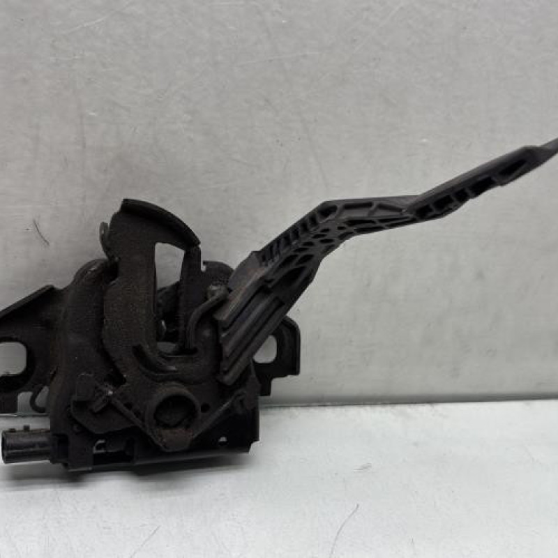 Fermeture de capot DACIA SANDERO 3 Photo n°3