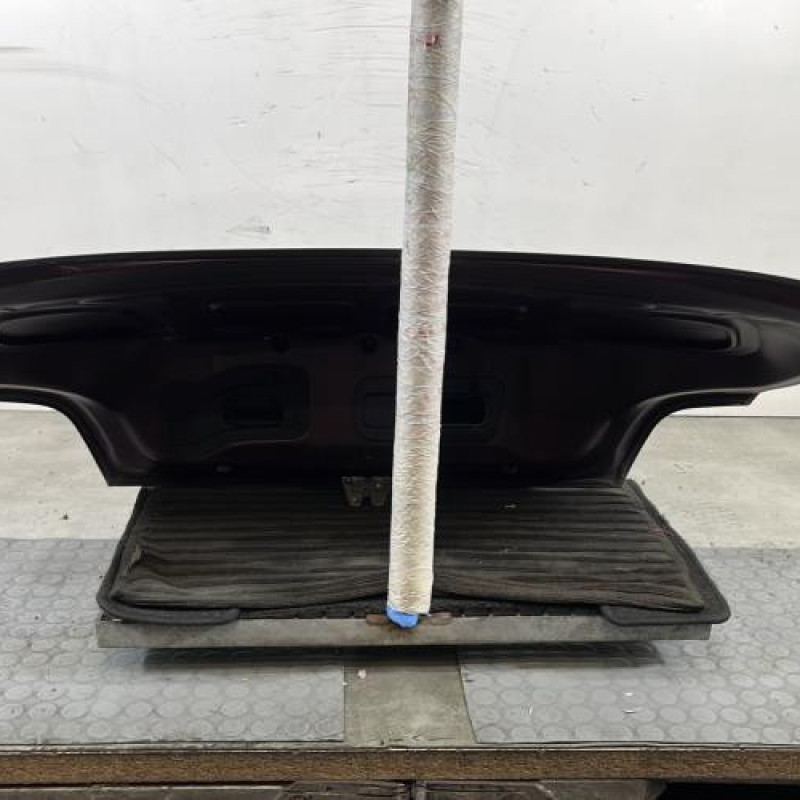 Malle/Hayon arriere BMW Z4 E85 Photo n°10