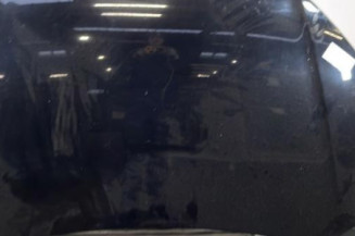 Capot VOLKSWAGEN POLO 4 Photo n°1