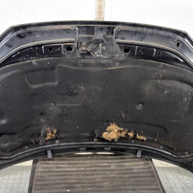 Capot VOLKSWAGEN POLO 4 Photo n°9