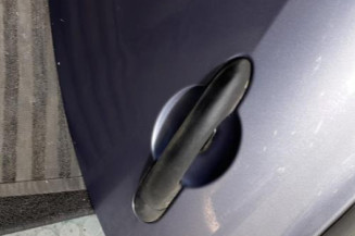 Porte arriere gauche RENAULT CLIO 3