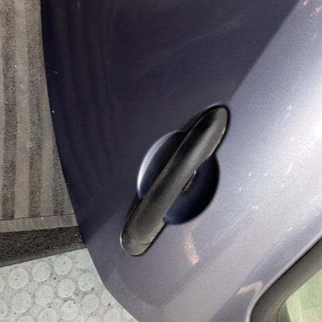 Porte arriere gauche RENAULT CLIO 3