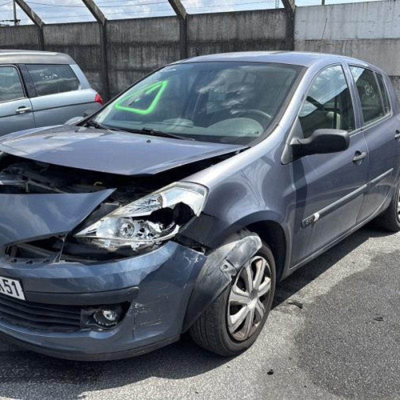 Porte arriere gauche RENAULT CLIO 3 Photo n°20