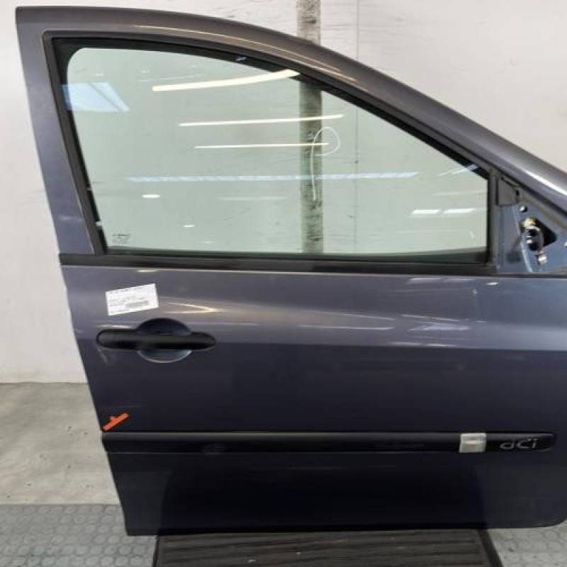 Porte avant droit RENAULT CLIO 3 Photo n°1