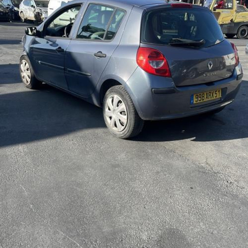 Porte avant droit RENAULT CLIO 3 Photo n°11