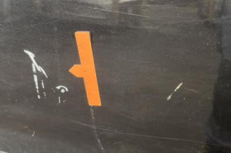 Porte arriere gauche CITROEN C3 1