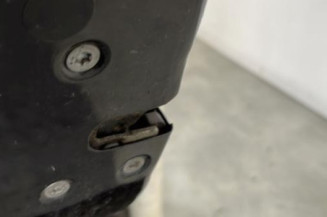 Porte arriere gauche CITROEN C3 1