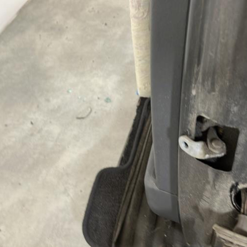 Porte arriere gauche CITROEN C3 1 Photo n°6