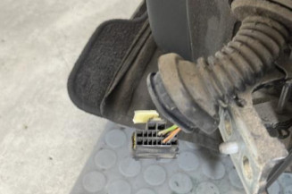 Porte arriere gauche CITROEN C3 1