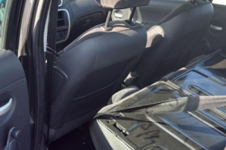 Porte arriere gauche CITROEN C3 1