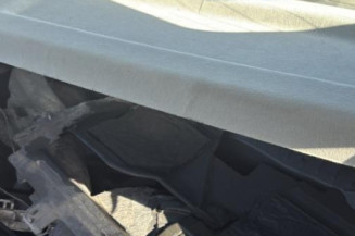 Porte arriere gauche CITROEN C3 1