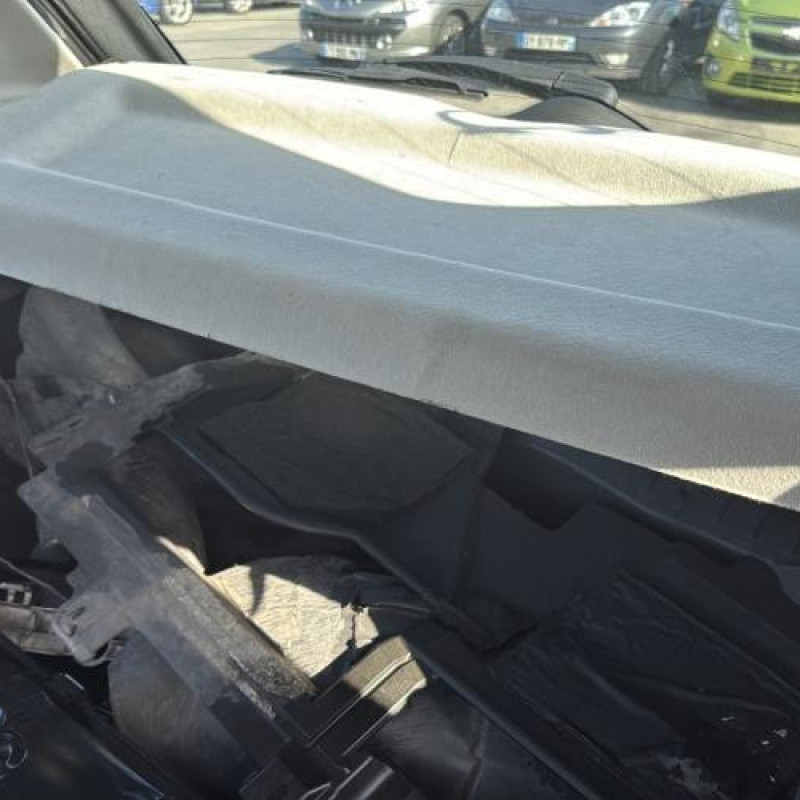 Porte avant droit CITROEN C3 1 Photo n°18